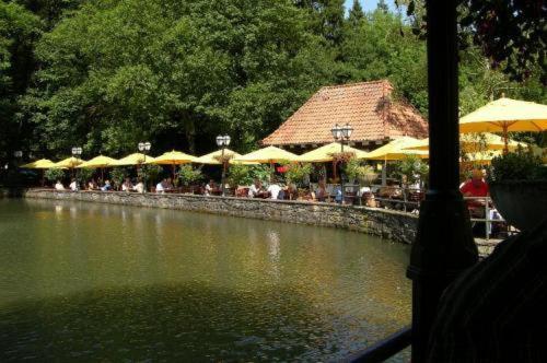 Waldhotel Silbermühle Horn-Bad Meinberg Exterior foto