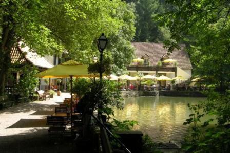 Waldhotel Silbermühle Horn-Bad Meinberg Exterior foto